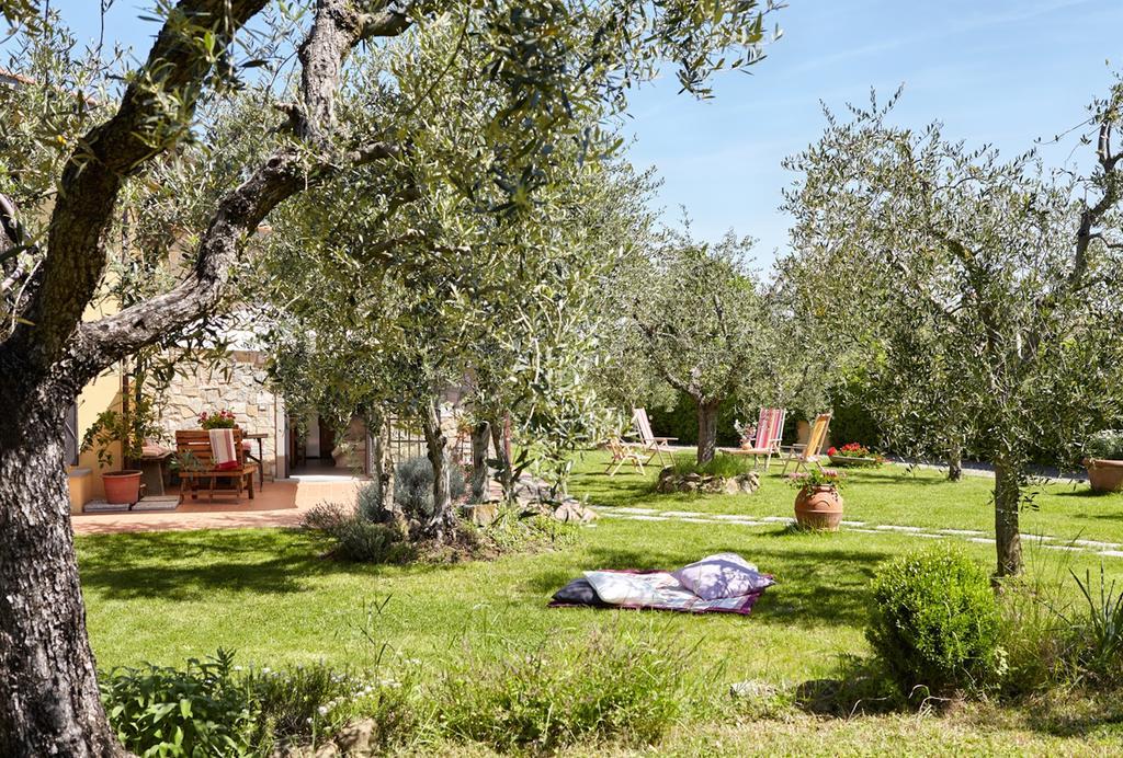 Podere La Casuccia Malmantile Rom bilde