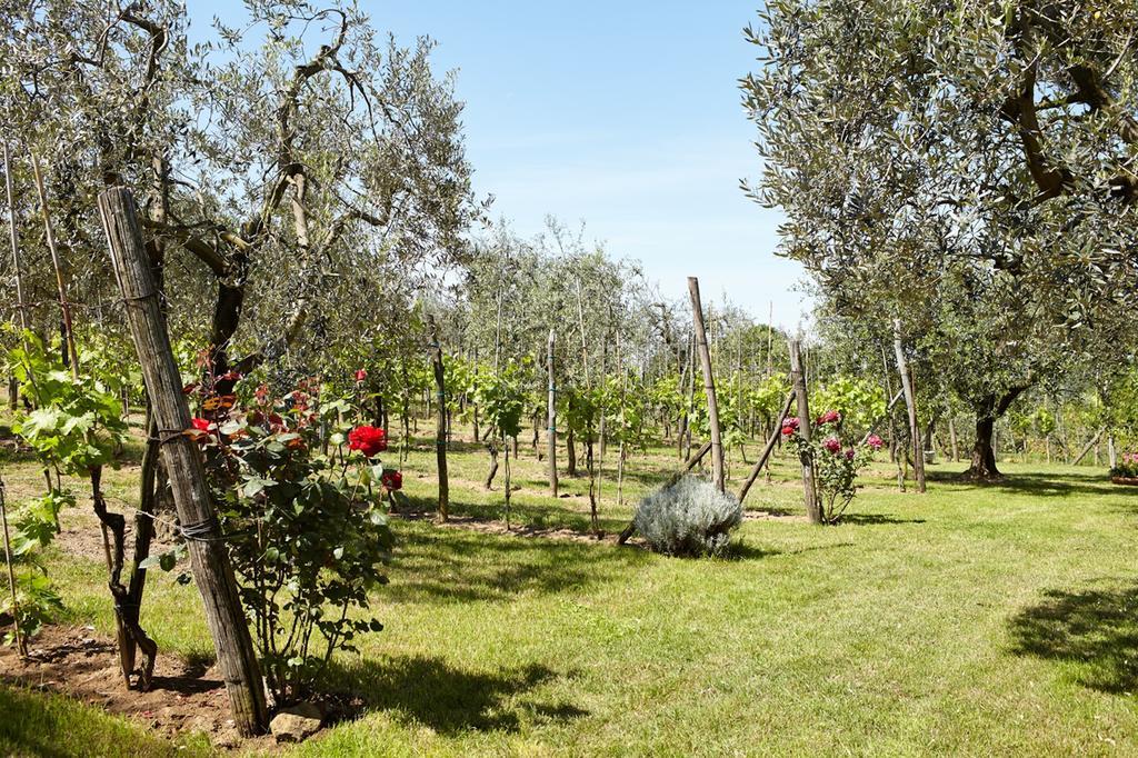 Podere La Casuccia Malmantile Rom bilde