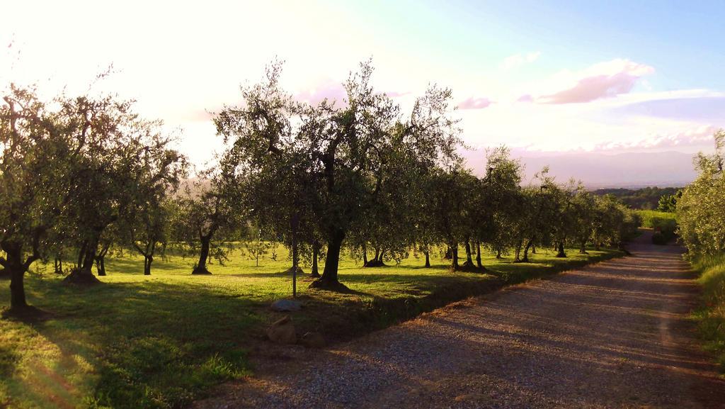 Podere La Casuccia Malmantile Rom bilde