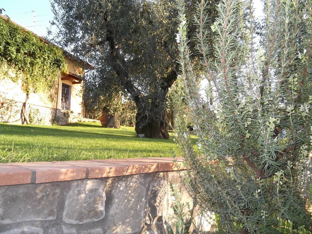 Podere La Casuccia Malmantile Rom bilde
